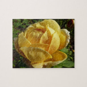 Puzzle Rosa inglés amarillo