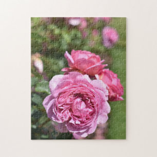 Puzzle Rosa inglés Garden Kew Gardens Londres Reino Unido