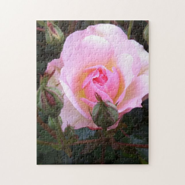 Puzzle Rosa Inglesa Perfecta (Vertical)