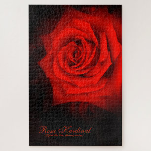 Puzzle Rosa Kardinal [Jigsaw puzzle(1014 piece)]