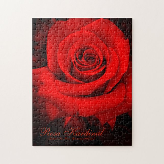 Puzzle Rosa Kardinal [rompecabezas (252 piezas)] (Vertical)