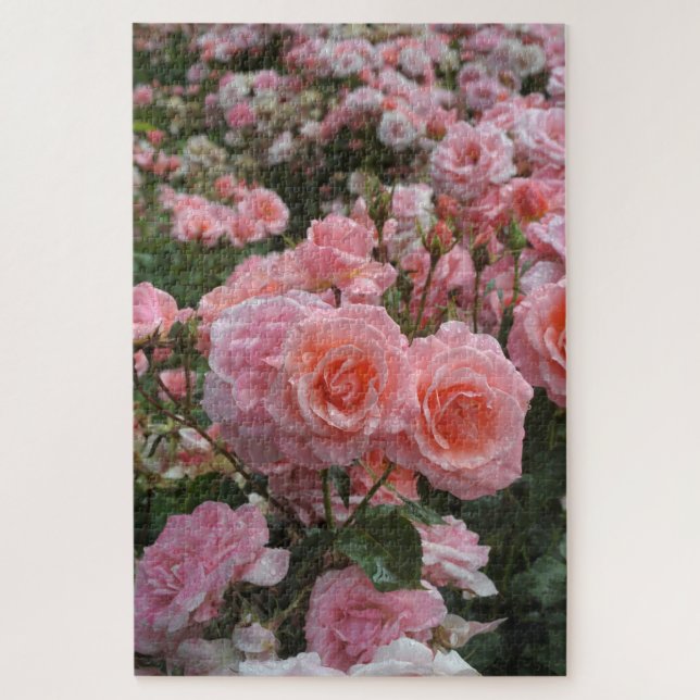 Puzzle rosa 'Kate Sheppard' (Vertical)