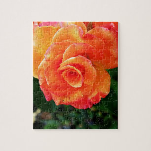 Puzzle rosa naranja