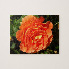Puzzle Rosa naranja I Bonito Floral