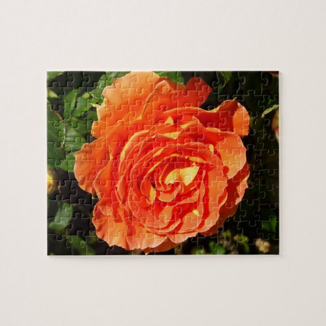 Puzzle Rosa naranja I Bonito Floral (Horizontal)