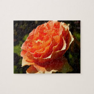 Puzzle Rosa naranja II Hermosa Floral