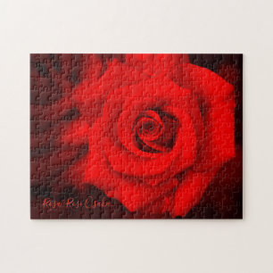 Puzzle Rosa ‘Osaka Rosa’ [Rompecabezas de Jigsaw: 252P]