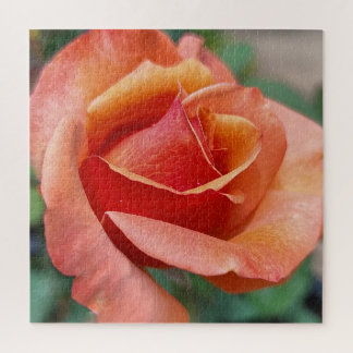 Puzzle Rosa Radiante – Pétalos en Armonía