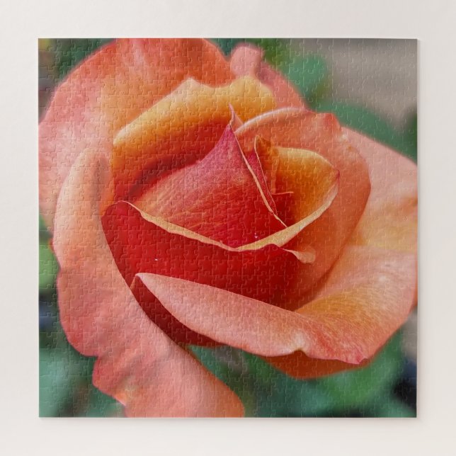 Puzzle Rosa Radiante – Pétalos en Armonía (Vertical)