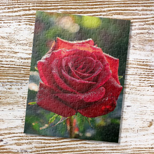 Puzzle Rosa roja