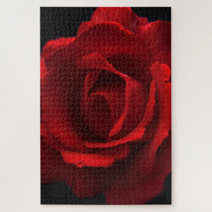 Puzzle Rosa roja 20x30 1014pc jpcna