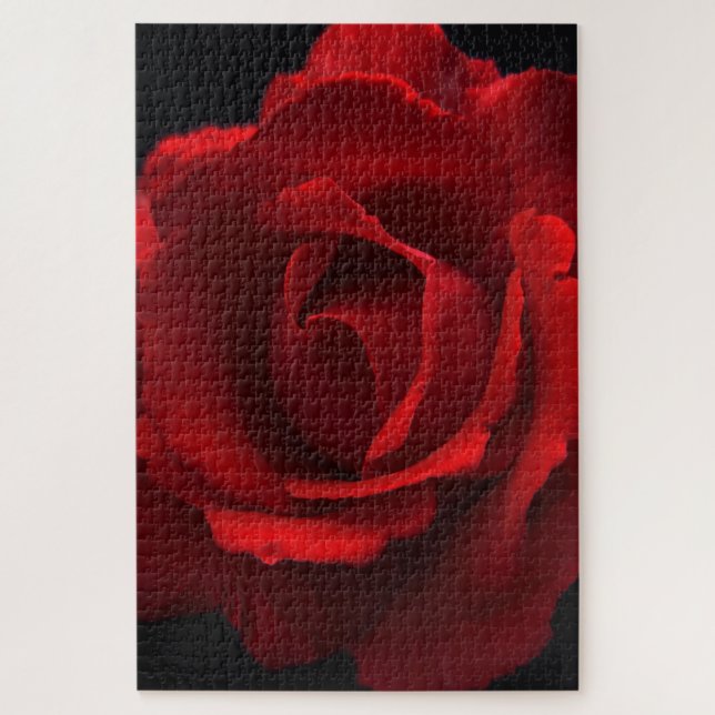 Puzzle Rosa roja 20x30 1014pc jpcna (Vertical)