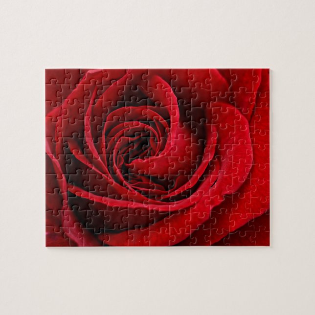 Puzzle Rosa Roja Brillante en Primer Plano (Horizontal)