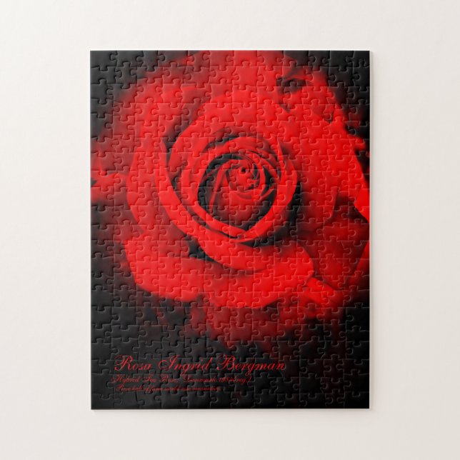 Puzzle Rosa roja [Rompecabezas (252 piezas)] (Vertical)