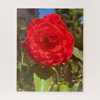 Puzzle Rosa Roja, San Mateo