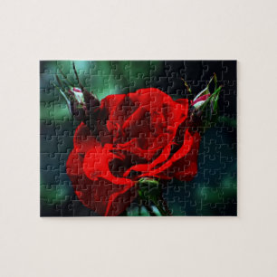 Puzzle rosa rojo día de San Valentín