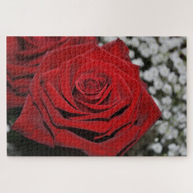 Puzzle Rosa rojo hermoso (Horizontal)