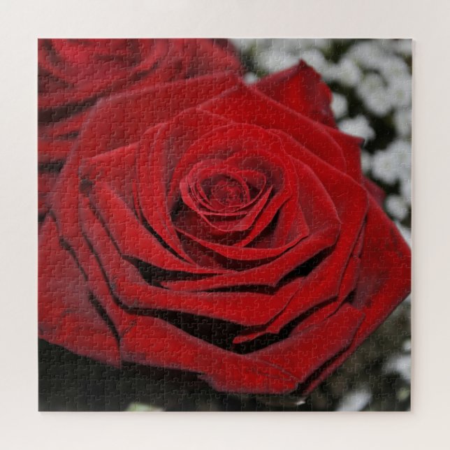 Puzzle Rosa rojo hermoso (Horizontal)