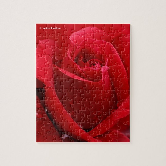 Puzzle Rosa Rojo Romántico Elegante (Vertical)