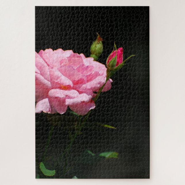 Puzzle Rosa rosa (Vertical)