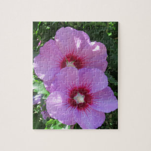 Puzzle Rosa rosa de la foto de Sharon