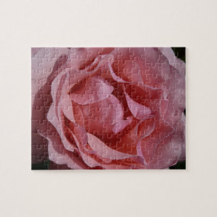 Puzzle Rosa rosa II Bonito floral