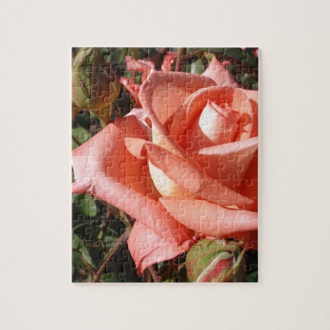 Puzzle Rosa Rosa Melocotón (Vertical)