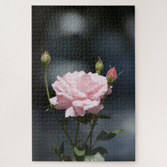 Puzzle rosa rosa rosa rosa (Vertical)