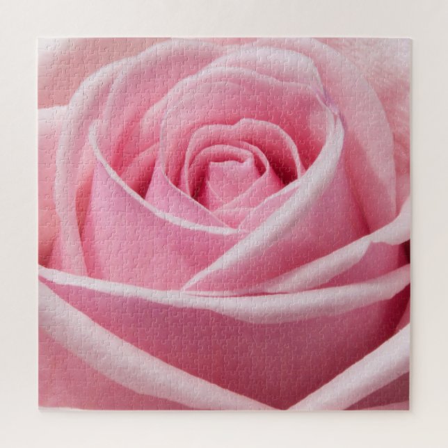 Puzzle Rosa rosa suave (Vertical)