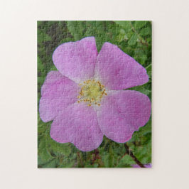 Puzzle Rosa silvestre F11 "Rosa arkansana"