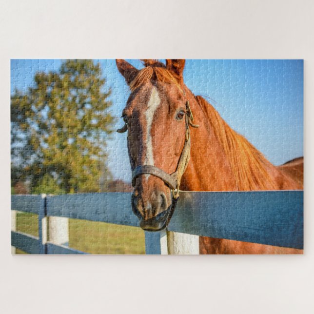 Puzzle Rosa Twilight | Caballo de Raza Arrojada (Horizontal)