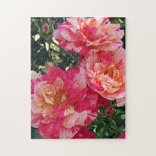 Puzzle Rosas de rayas rosas y blancas: arte floral (Vertical)