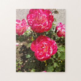 Puzzle Rosas del Jardín Rojo