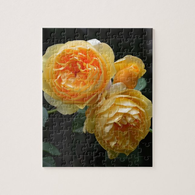 Puzzle Rosas ingleses amarillos (Vertical)