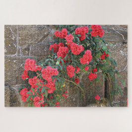 Puzzle rosas rojas trepando en la pared de ladrillos, Esp
