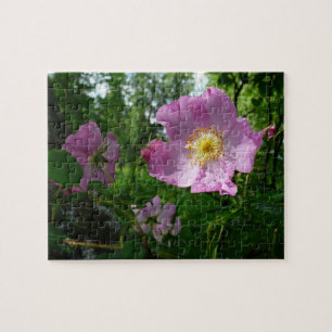 Puzzle Rosas rosadas silvestres en Alaska