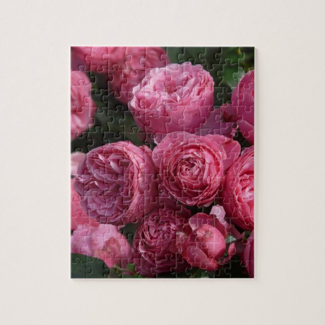 Puzzle Rosas rosados imponentes (Vertical)