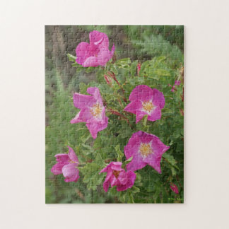 Puzzle Rosas silvestres F46