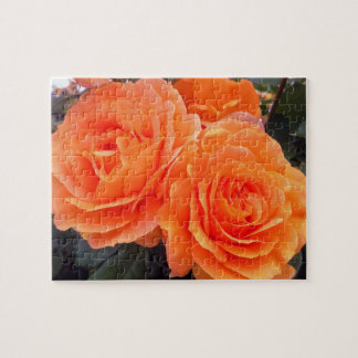 Puzzle Rosas tangerinas, Rompecabezas, 8 por 10 pulgadas,