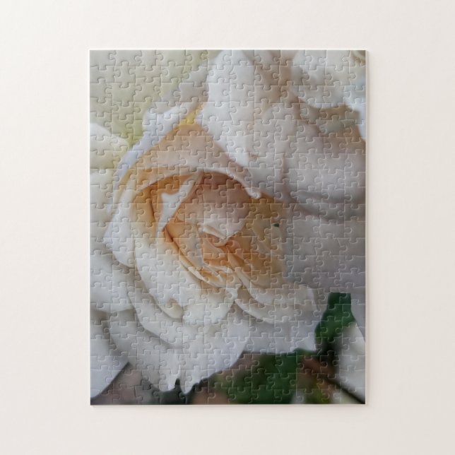 Puzzle Rosas tímidas (Vertical)