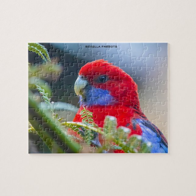 Puzzle Rosella Parrots Australia (Horizontal)