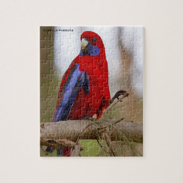 Puzzle Rosella Parrots Australia (Vertical)