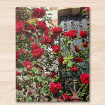 Puzzle Roses rojas de Francia de viajes<br><div class="desc">Tomé esta fotografía un día mientras caminaba por una calle en Francia.
Roses rojos trepando a la luz del sol,  casi oscureciendo una ventana cerrada y sostenida por una antigua valla de hierro.
Tan romántico y nostálgico. ¡Espero que disfrutes haciendo este rompecabezas!</div>