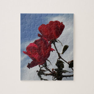 Puzzle Roses rojos contra un brillante cielo azul