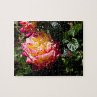 Puzzle Rosy Glow