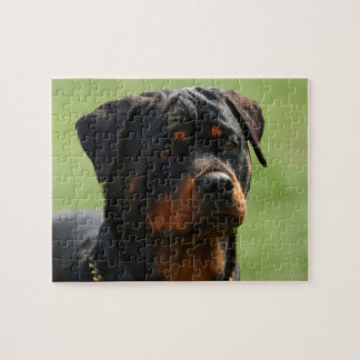 Puzzle Rottweiler