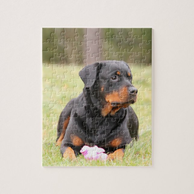 Puzzle Rottweiler hermoso grande (Vertical)