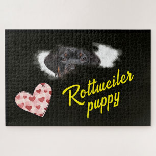 Puzzle Rottweiler Ojos Color sólido 1000 pieza Jigsaw Puz