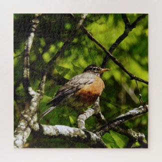 Puzzle Round Robin