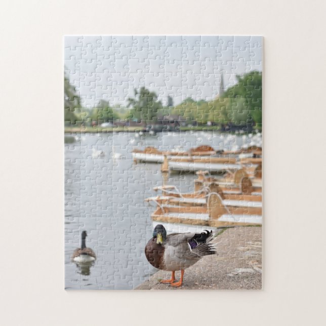 Puzzle Rowboats and Duck, Stratford Upon Avon, England (Vertical)